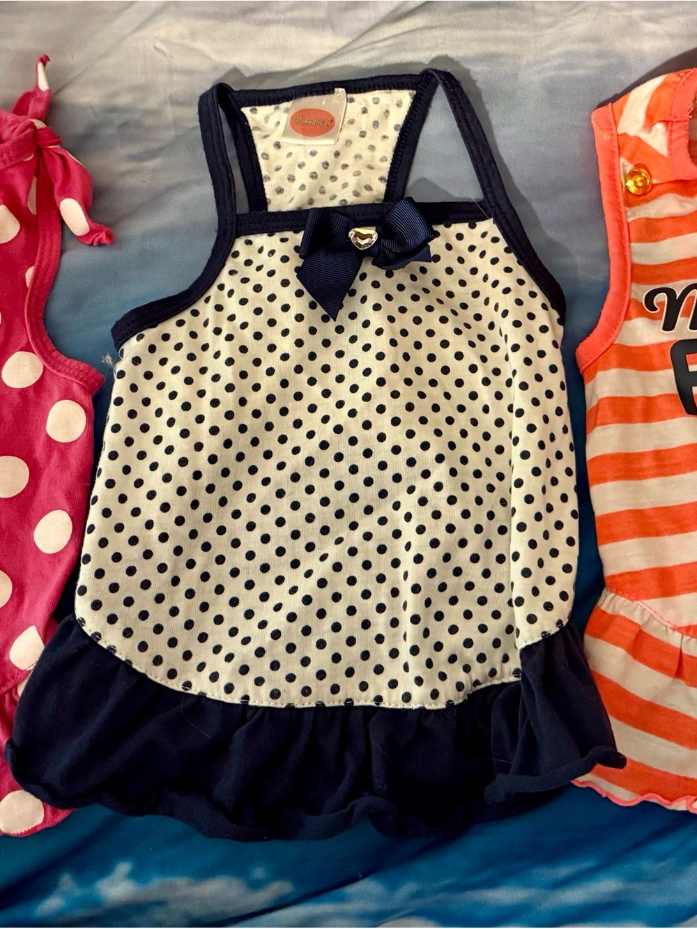 8 piece Medium Dog Clothing Set